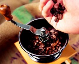 Kenya Coffee Kenya AA Coffee Fine Coffee Green Bean Latest Coffee Introduction Unique Flavor
