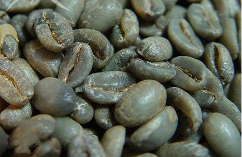 The flavor, characteristics, history and introduction style of Panamanian Rosa Coffee from Panama