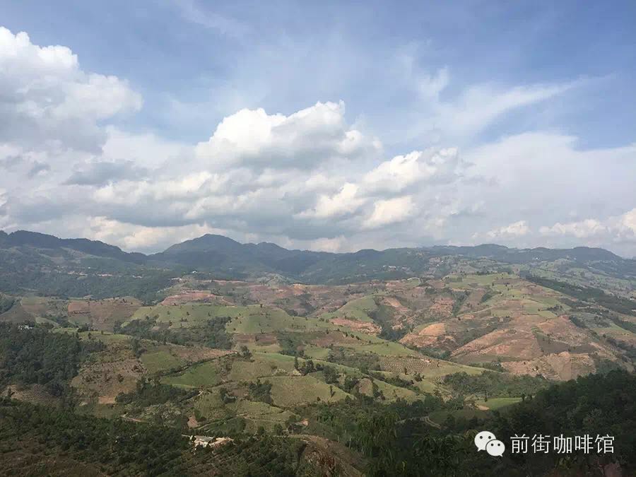 Yunnan Coffee Tour Qianjie Cafe latest Information Yunnan Coffee