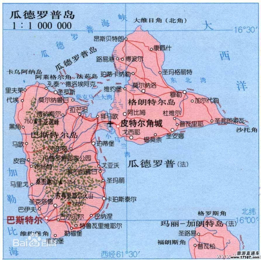 A brief introduction to the Flavor of Fine Coffee beans in French Guadeloupe Island in Africa