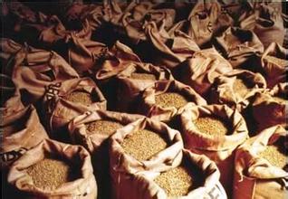 American boutique coffee the difference between Arabica and Robusta in the classification of Guatemalan coffee beans