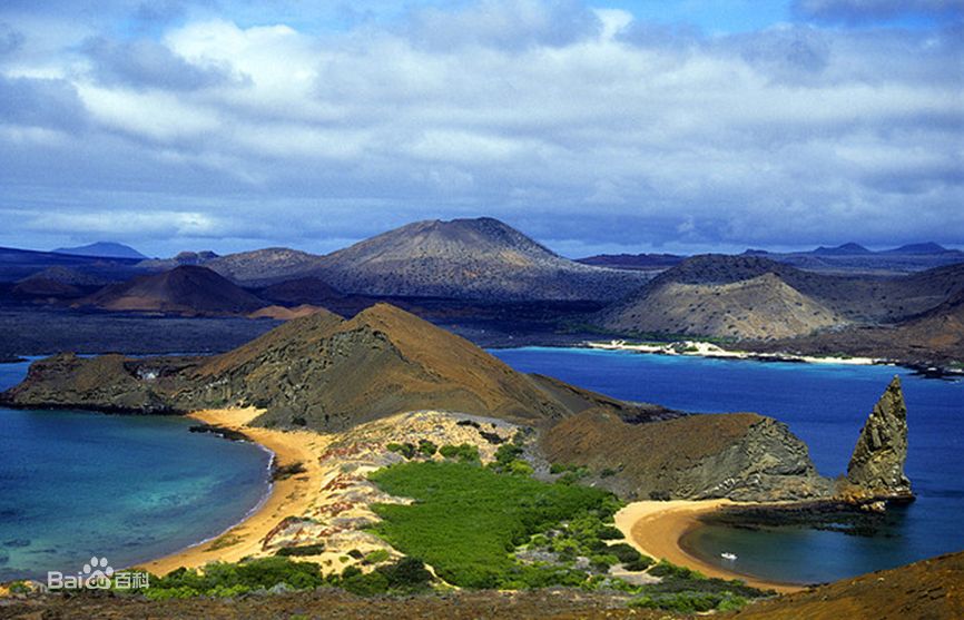 A brief introduction to the Flavor of Fine Coffee beans in the Galapagos Islands of Ecuador