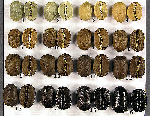 Effect of drinking coffee with different roasting degrees on stomach Analysis of roasting degree of Coffee beans