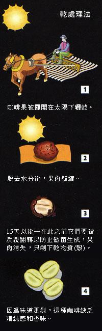 The difference between sun-drying and washing coffee beans in the process of sun-drying coffee treatment
