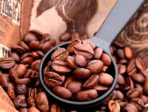 How to judge the classification, quality and taste of coffee beans