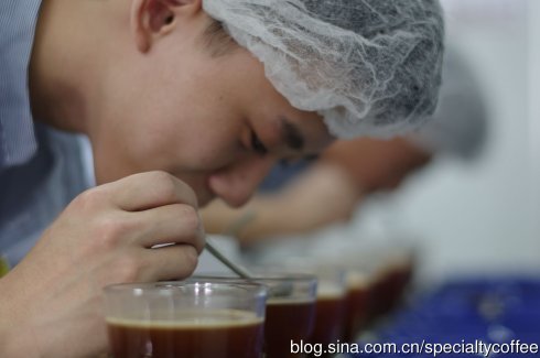 A brief introduction to coffee cup testing methods and steps of coffee cup testing SCAA boutique coffee association cup testing knowledge