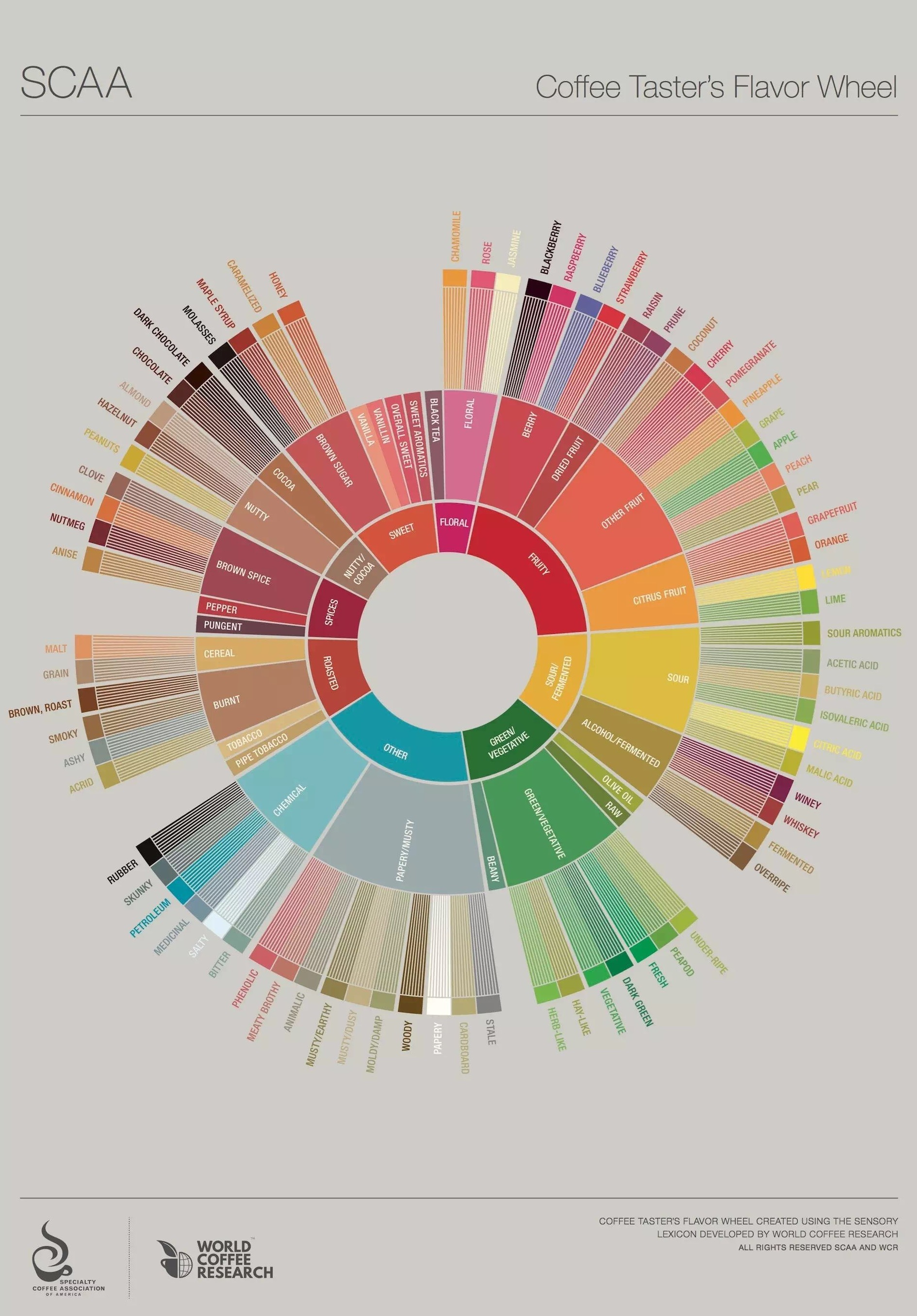 What is the latest Chinese version of SCAA coffee flavor wheel? high definition version wallpaper download detailed explanation