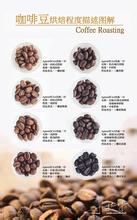 Roasting utensils and roasting process roasting degree of coffee beans eight levels of flavor and color characteristics