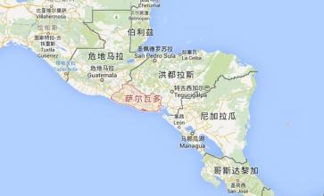 El Salvador Coffee--Once the world's fourth largest coffee producer El Salvador Coffee