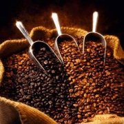 The roasting of Yega Sidamo Coffee in English
