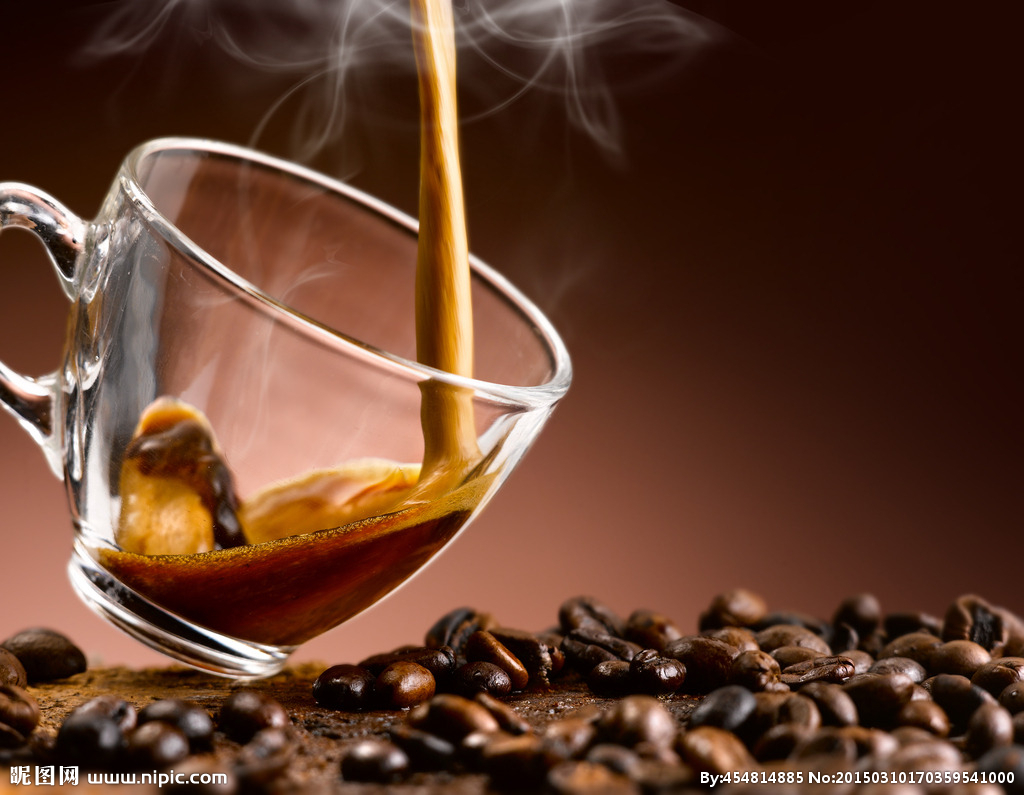 The service purpose, organization and industrial organization of Hainan Coffee Industry Association