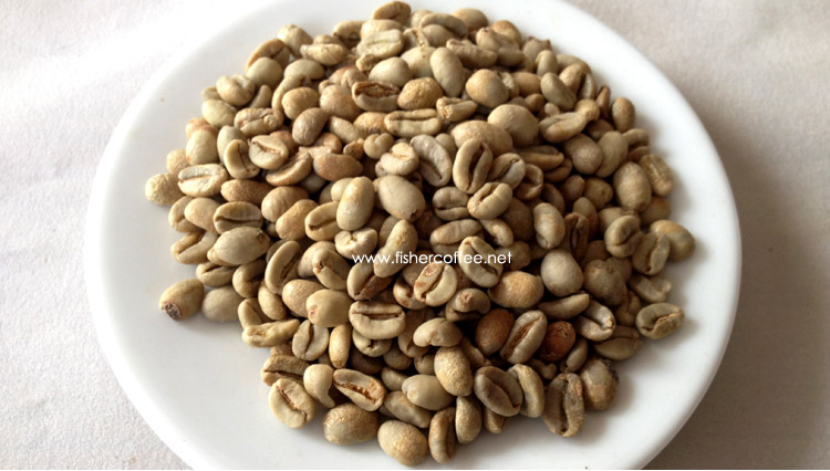 The unique floral flavor of boutique coffee beans from Geisha, an Ethiopian region in Africa