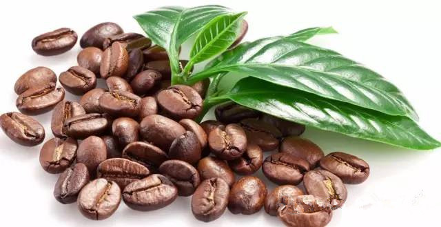 Introduction to the taste and origin of Sumatra Mantenin boutique coffee beans in Indonesia