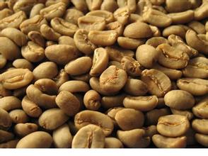 Manning Coffee characteristics Golden Manning Coffee characteristics Huang Jinman Coffee Flavor description and Origin