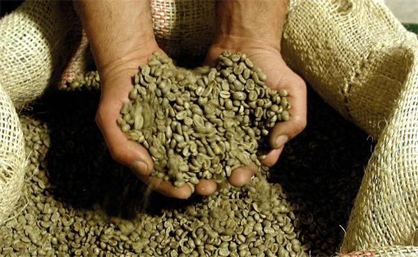 Price of Blue Mountain Coffee Blue Mountain Coffee