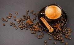 Master the coffee, milk and foam skills of the three major milk cafes