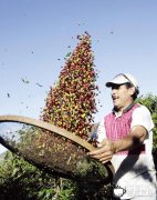 Brazilian coffee suffers.
