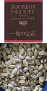 Coffee Bean King Bourbon Pointu