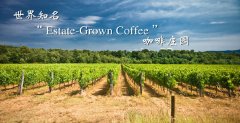 World famous Coffee Manor