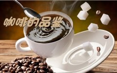 The taste of coffee