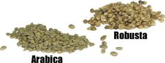 The difference between Arabica and Robusta