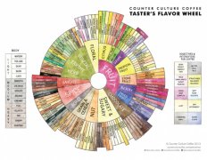 The new coffee flavor wheel in 2014
