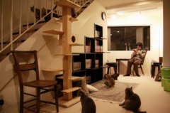 Japanese Animation Cafe