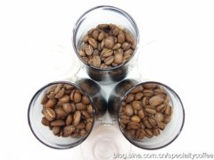 Dried coffee beans