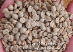 Starting with Coffee beans (2)-- America-Costa Rica