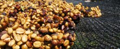 Honey treatment method
