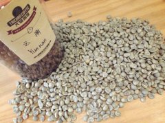 Yunnan small Coffee beans Tiebika
