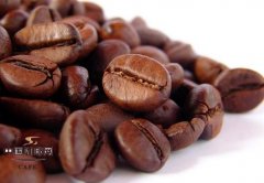 Types of coffee beans