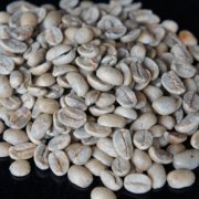 Salvadoran coffee raw beans in North America