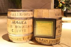 The elegant temperament in Blue Mountain Coffee