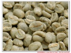 Kenya Nieli Coffee