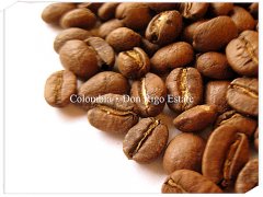 Columbia Colombia Don Rigo Estate
