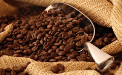 How to choose coffee beans?