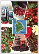 One of the eight most famous coffees in the world-Hawaiian Kona Coffee