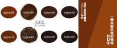 Share the third wave of boutique coffee beans-By GeeCoffee (PART1)
