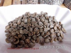 Picture of coffee beans gold manning raw beans golden mandheling