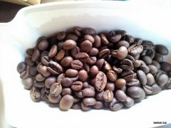 Robusta Coffee Kopi Luwak
