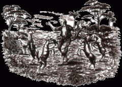 The Origin of Coffee-the Legend of Shepherd