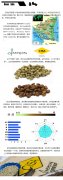 Nicaraguan Highland Coffee SHG