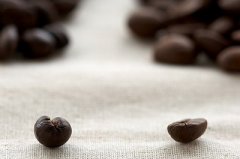 Interesting knowledge: beans are male and female.