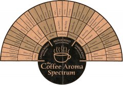 SCAA coffee cup testing process