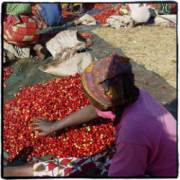 AA + Lupili Village, Zambia