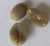 Indonesia-GAYO Manning Coffee introduction