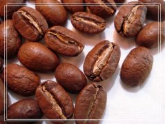 Carefully washed Royal Robusta Coffee beans