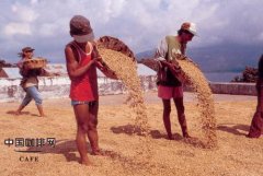 The purpose of initial processing of coffee