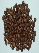 Baking PB (Congo KIVU LAKE PEABERRY) in Lake Guibu, Congo